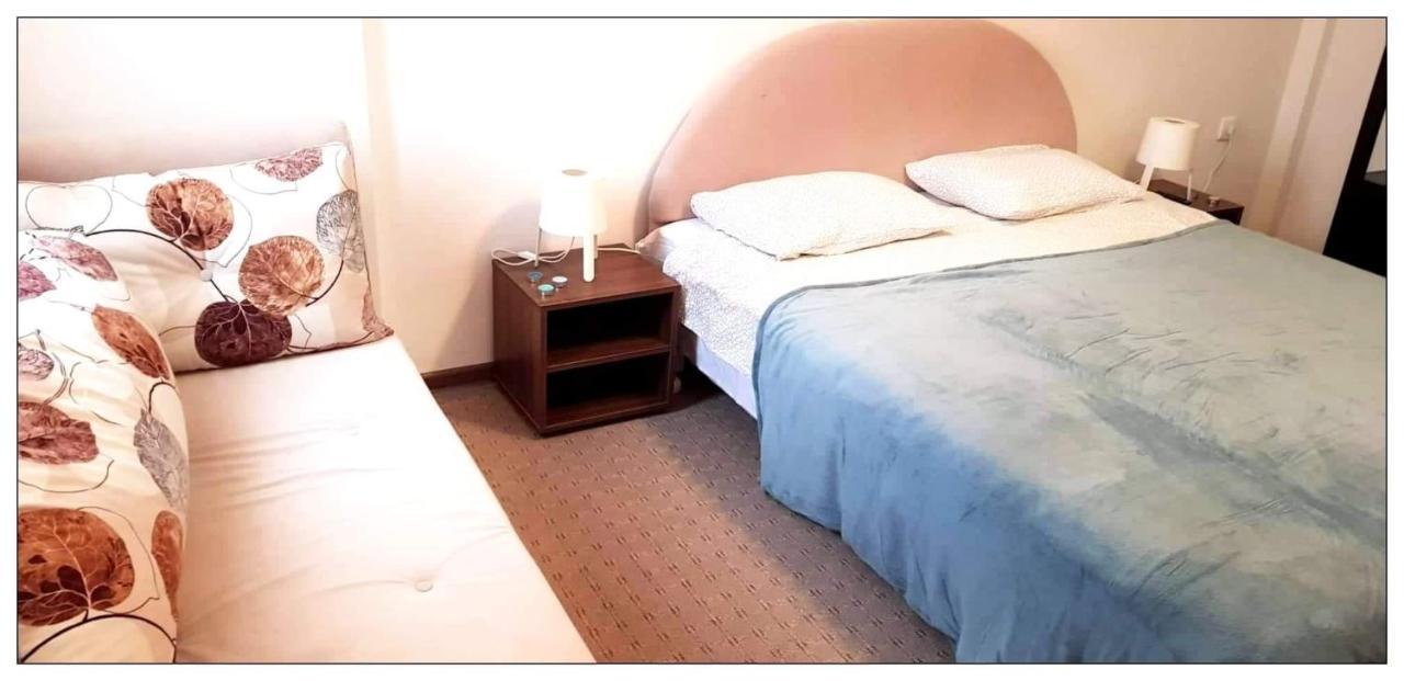 Dobricin Konak, Apartman 202 Kopaonik Kültér fotó