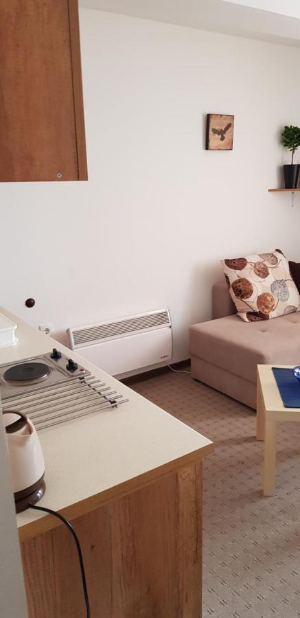 Dobricin Konak, Apartman 202 Kopaonik Kültér fotó